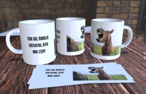 Ten się śmieje ostatni, kto ma zęby